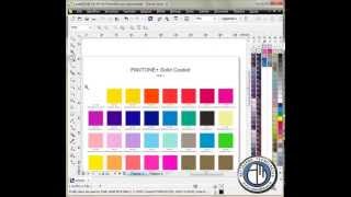 Mazzette colore Pantone con Corel [upl. by Hemminger130]