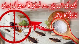 Safe And Effective Way To Kill CockroachesRemedies To Get Rid Of CockroachesKitchen Tips [upl. by Aliekat915]