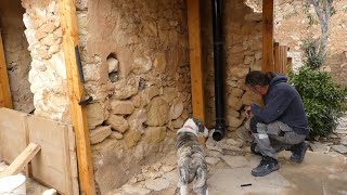 Revealing the full extent of the damage to the stone walls  Finca restoration in Spain [upl. by Llorre576]