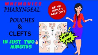 PHARYNGEAL POUCHES😀 amp CLEFTS  DERIVATIVES EASY MNEMONICS😍  NEW VIDEO 2021  Dr Vk Anatomy [upl. by Dutch]