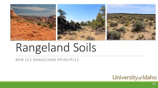 Rangeland Soils [upl. by Atterol]