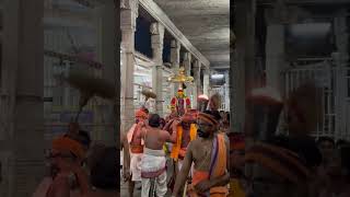 Namperumal nadai namperumal srirangam tirumala balaji viralvideo perumal india sanatana [upl. by Balduin]