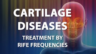 Cartilage Disease  RIFE Frequencies Treatment  Energy amp Quantum Medicine with Bioresonance [upl. by Vasili]