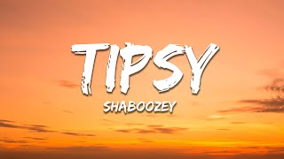 Shaboozey  A Bar Song Tipsy Lyrics [upl. by Nnylaf]