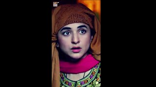 ARY Digital Drama [upl. by Reba]