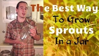 The Best Way to Grow Sprouts in a Jar [upl. by Noswal]