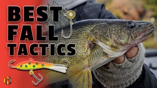 Best Fall Walleye Tactics 65 Degrees amp Less [upl. by Pasahow]