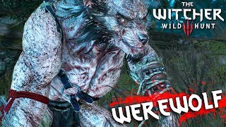 THE WITCHER 3  Wild at Heart all options 4K 60fps [upl. by Garrick]