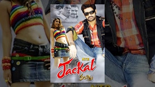 Jackal Kantri English Full Movie  Jr NTR Hansika  Meher Ramesh [upl. by Yatnod]