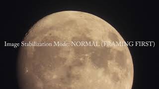 Nikon P1000 Stabilization Modes Test 112018 [upl. by Rizzo316]