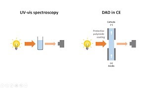 Capillary Electrophoresis Part 5 Detection methods in CE [upl. by Melisenda894]