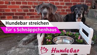 Hundesachen selber machen 🐶 Hundebar streichen mit MissPompadour [upl. by Hamlin]