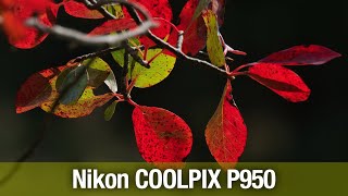 Nikon COOLPIX P950 09212023 [upl. by Nnylrac683]