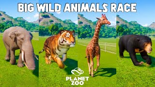 Reticulated Giraffe Platybelodon Japanese Macaque Tiger Sun Bear  Planet Zoo Animals Race [upl. by Idnic737]