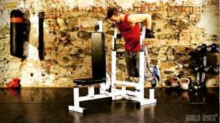 Banc de musculation universel multifonctions – Gorilla Sports [upl. by Emlynn]