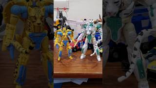 Transformers Beast Wars Kingdom Tigatron CLEARS Cheetor Transformers shorts fypシ゚viral [upl. by Anamor229]