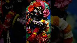 Main Apne pranon se Jaaye Pyar karunga 🌺🌿 radharaani radheshayam krishnabhagwan krishna radha [upl. by Quincy]