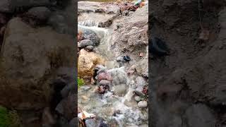 Free flowing water beautifulnature nature water waterfall flowingwatersound stream [upl. by Arnoldo]