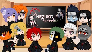 Akatsuki reagindo a NezukoAkatsuki react to Nezuko [upl. by Carine]