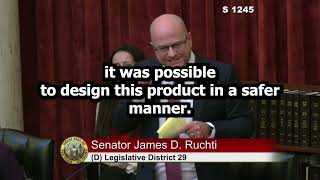 Idaho State Senator James Ruchti speaks in opposition to SB 1245 [upl. by Aoniak378]