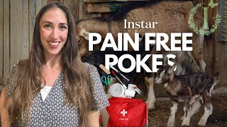 Goat Health 101 Give Your Goat PainFree Injections [upl. by Harret]