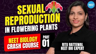 Sexual Reproduction in Flowering Plants  NEET Crash Course 2024  Demo 1  Biology  Ritu Rattewal [upl. by Emmalee]