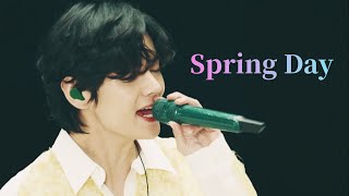 【BTS】Spring Day 봄날 日本語字幕 日本語訳 [upl. by Nerraw332]