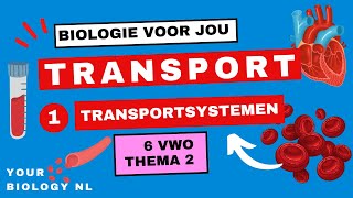 6 vwo  Transport  1  Transportsystemen amp Embryonale bloedsomloop [upl. by Joashus298]