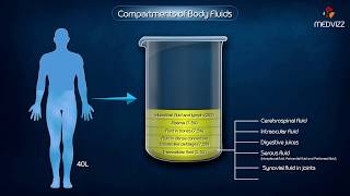 Compartments of Body Fluids  Medical physiology Animations [upl. by Selassie]