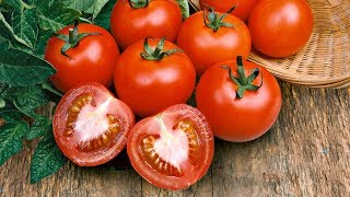 Nos conseils de culture  tomates [upl. by Partridge]