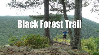 Backpacking the Black Forest Trail Pennsylvania [upl. by Merci]