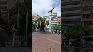 Plaza de Bolívar Pereira Risaralda Colombia [upl. by Katharina]