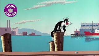 Sufferin Succotash  A History of Sylvester the Cat [upl. by Cadmar]