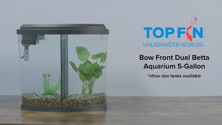 Top Fin Bowfront Double Betta Tank 5 Gallon Aquarium Setup  YouTube [upl. by Nnaillij]