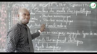 Cours  Terminale S  SVT  Lactivité du muscle strié squelettique  Introduction [upl. by Rochelle]