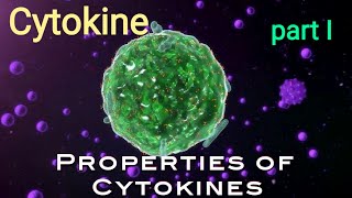 Properties of Cytokines  Attributes and Functions of Cytokines  Immunology  AM Biologie Notes [upl. by Leupold]