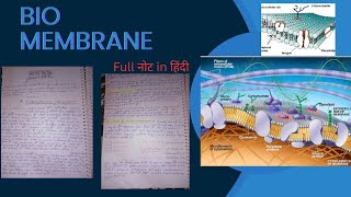 Bio membrane full note in Hindi msc zoology notes in Hindi [upl. by Taka]