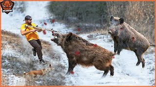 Shock How US Hunters and Australian Hunting Deal with Millions of Wild Boar And Invasive Species [upl. by Camarata135]