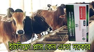 এসিআই এর ম্যাজিকাল এন্টিবায়োটিক ইউনিফ্লো প্লাস  ANIMAL HEALTH CARE [upl. by Conrado769]