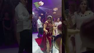 mariagealgerien mariaged اعراسجزائرية mariagemarocain follow [upl. by Madella246]