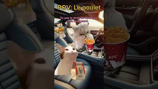 POV Le poulet meme chatdrole humour drole catmemes [upl. by Harmonie]