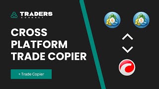 cTrader and Metatrader CrossPlatform Trade Copying Demo  Traders Connect [upl. by Ahsiel550]