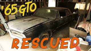 1965 Pontiac GTO Royal Bobcat  Chicago Barn Find  EPIC [upl. by Baudelaire194]