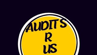 AUDITS R US [upl. by Nyvets]