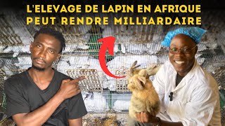 Devenez RICHE dans lelevage de LAPIN en Afrique avec cette méthode Les bonnes pratiques à observer [upl. by Konstantin522]