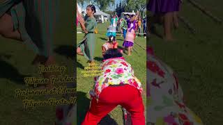 Tinikling  Filipino Folkdance performed at EdmontonFilipino Fiesta 2024 [upl. by Hola263]