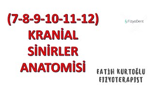 712 Kranial Sinirler  ANATOMİ SİSTEMLER KONU ANLATIMI 13 [upl. by Nylanna572]