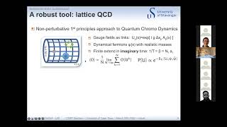 Alexander Rothkopf University of Stavanger on Inmedium heavy quarkonium [upl. by Lenoj]