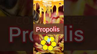 Propolis bienfaits propolis فوائد حبوب propolis própolis propolisbrazillian بروبوليس nutrition [upl. by Alessandro]