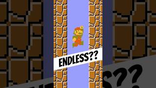 The ENDLESS PIT in Super Mario Bros NES [upl. by Buckler958]